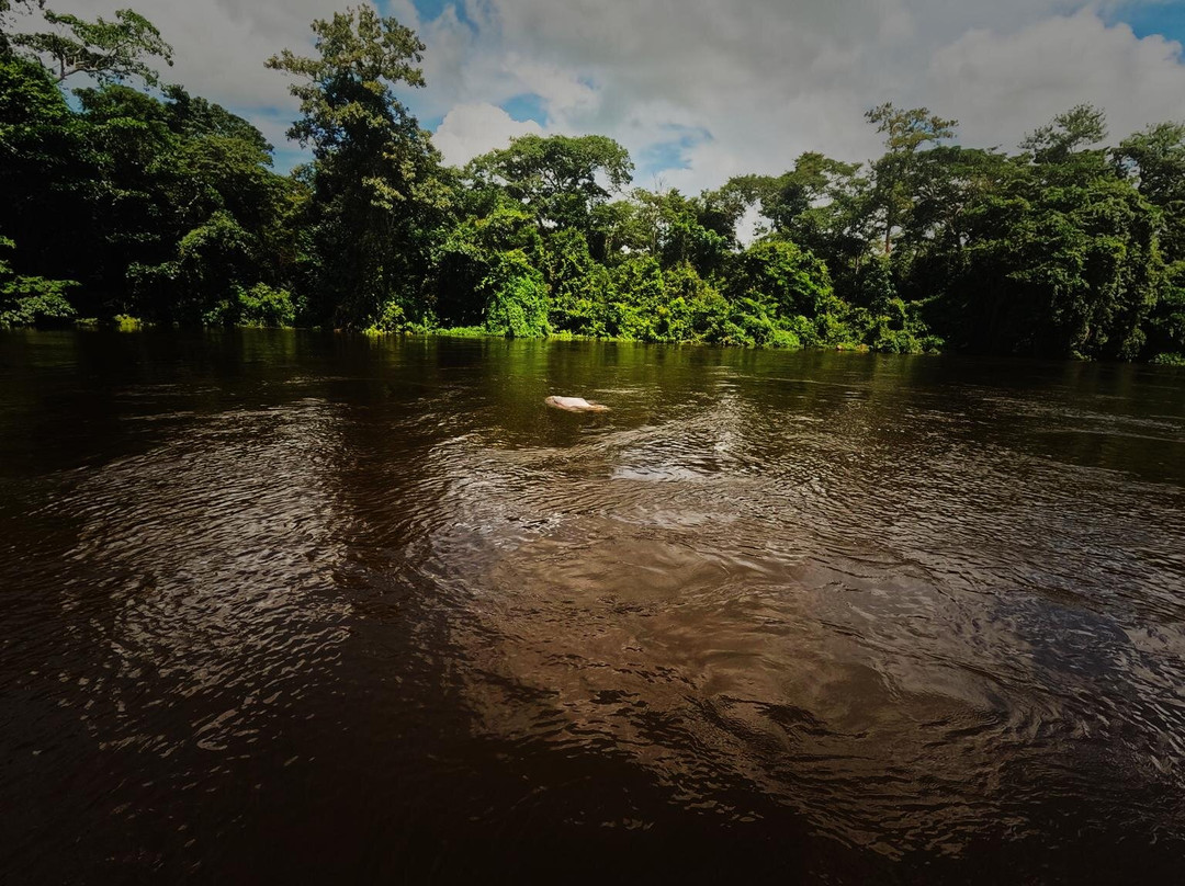 CHUCHINI Amazon Wildlife Reserve & Eco Lodge-Trinidad必去景点