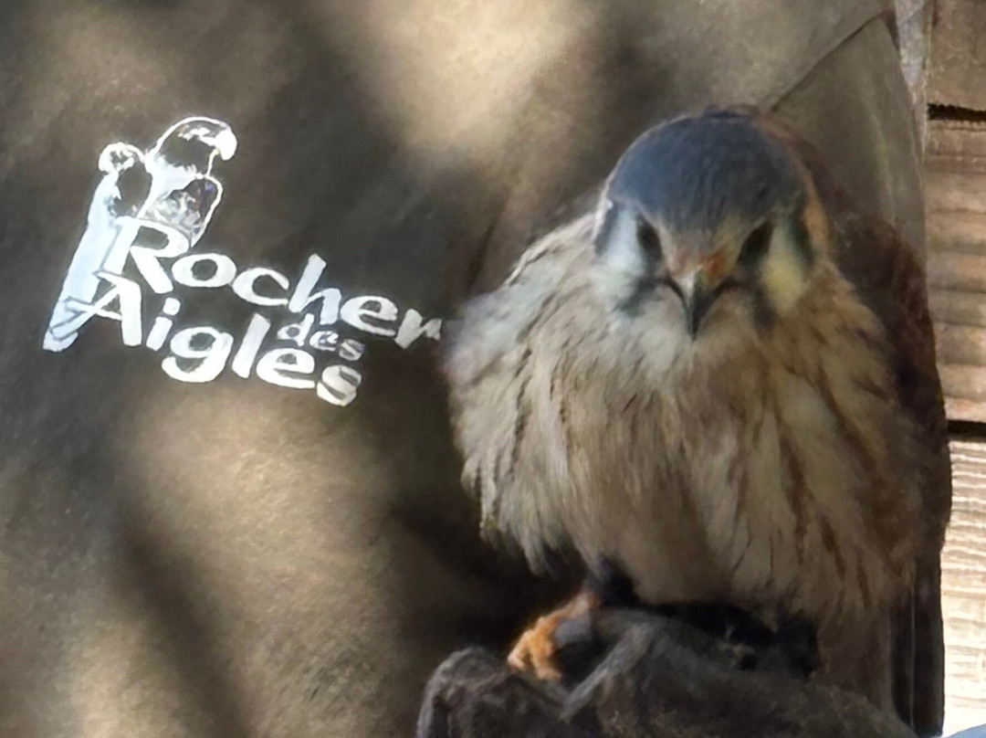 Rocher des Aigles-罗卡马杜尔必去景点
