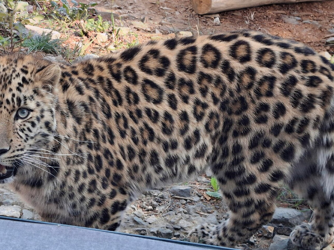 EcoZonia - Parc Animalier-Cases de Pene必去景点