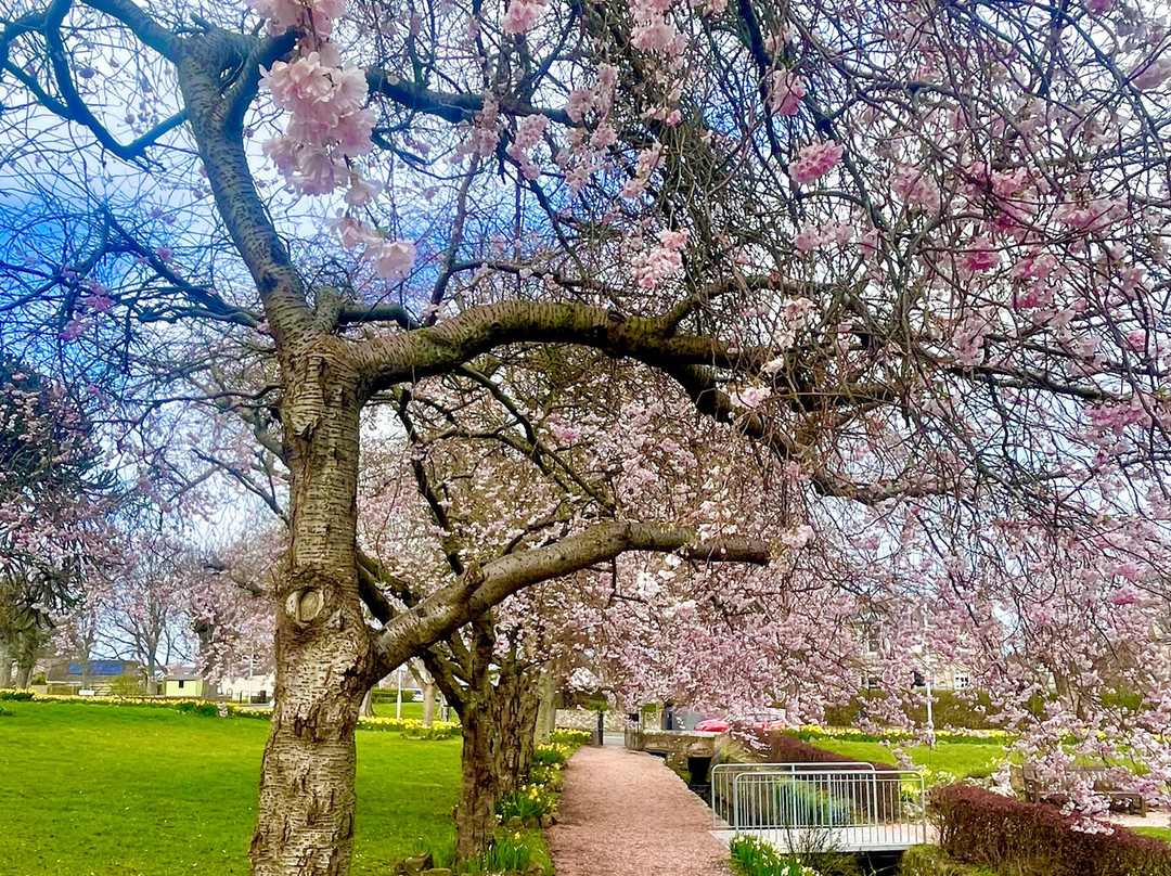 Victoria Gardens-Anstruther必去景点