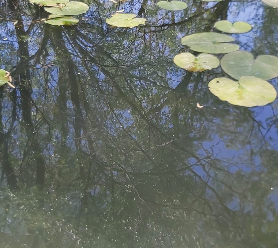 Lake Skadar-黑山共和国必去景点