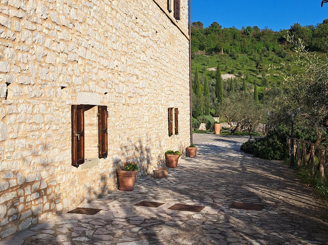 Agriturismo il Bastione主图