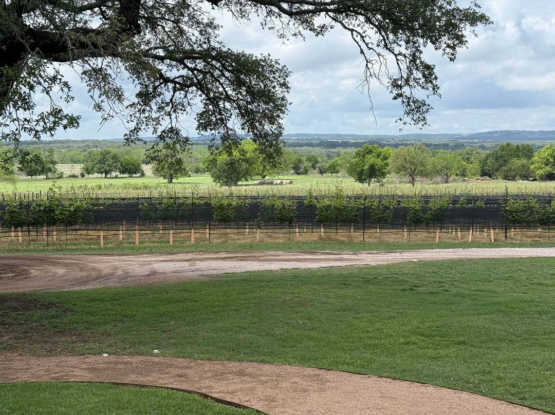 William Chris Vineyards-Hye必去景点