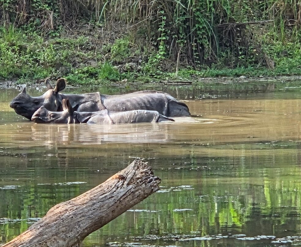 Chitwan National Park-苏拉哈必去景点