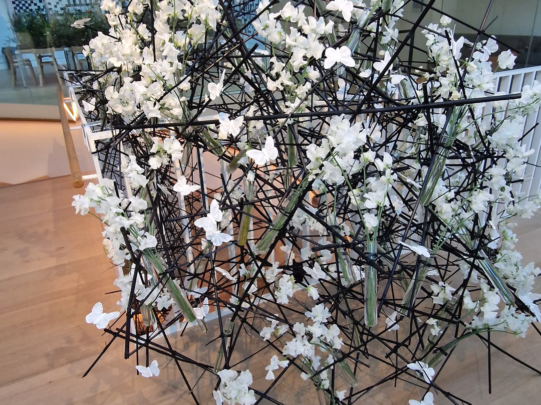 Museum Kunstpalast-杜塞尔多夫必去景点