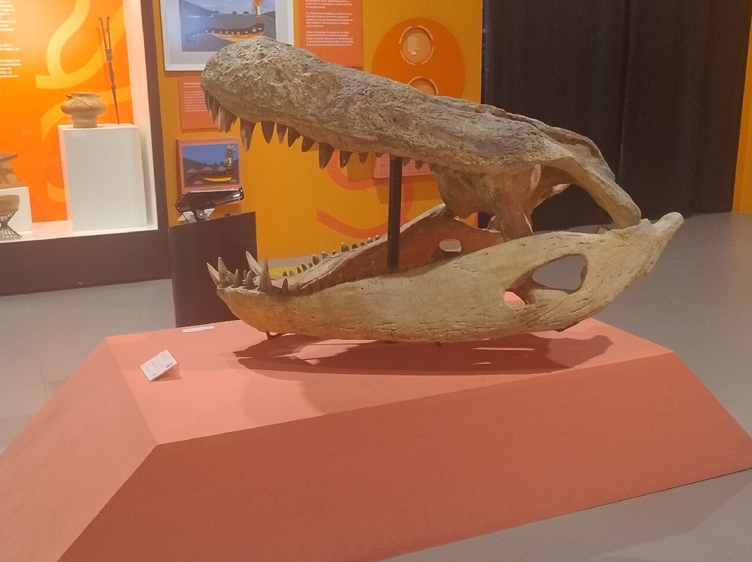 Museu Paraense Emílio Goeldi-贝伦必去景点