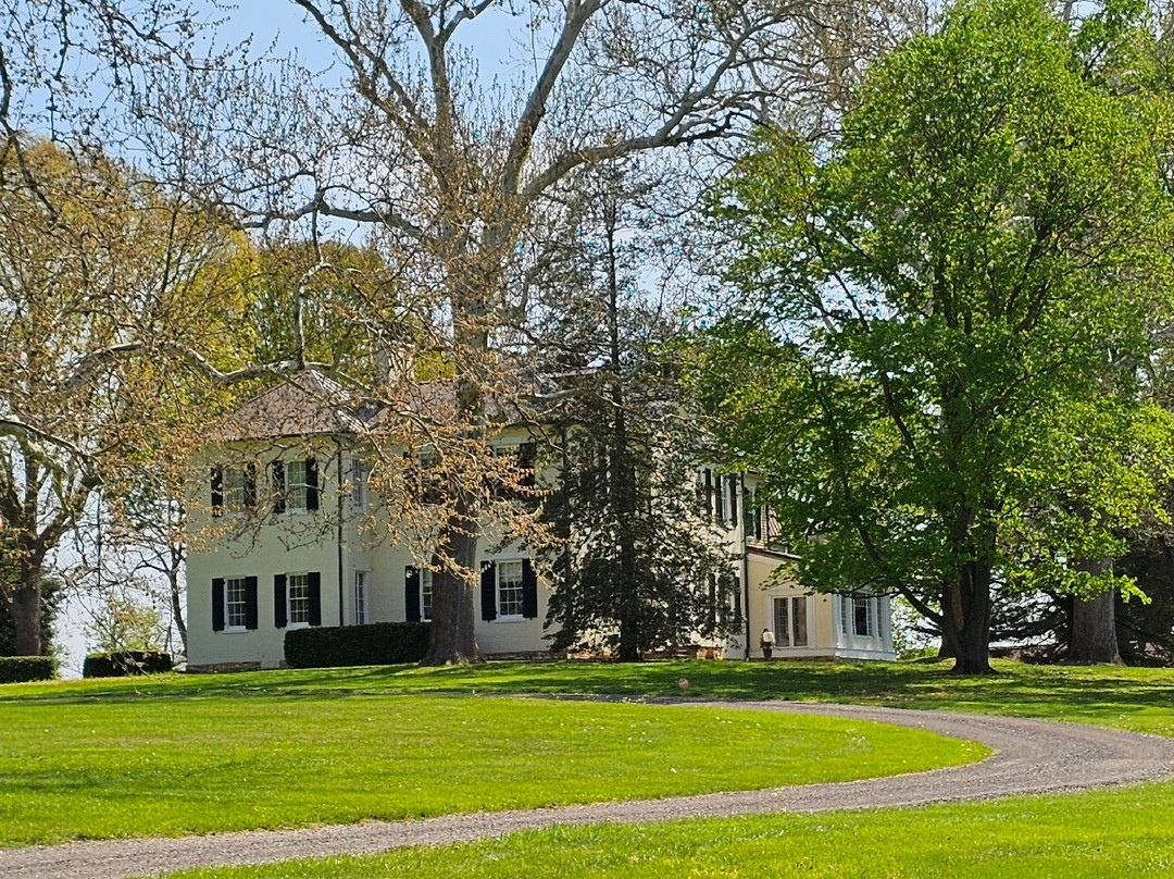 Clynmalira