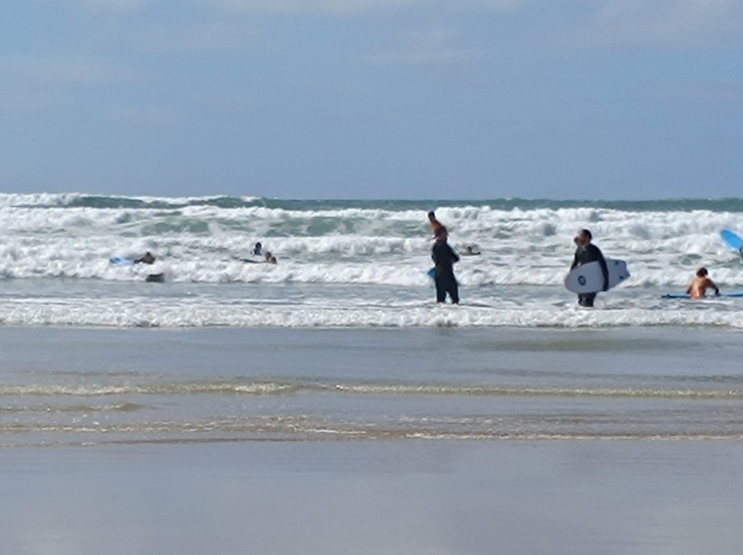 Wavehunters Surf School-Polzeath必去景点