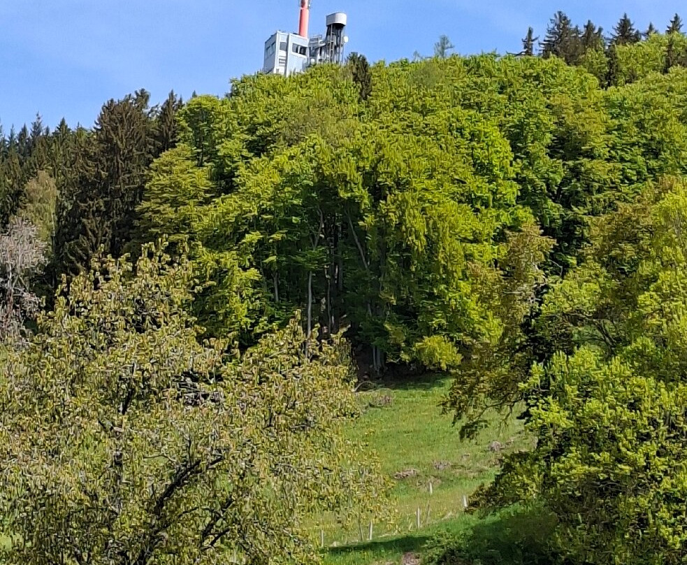Tour Plein-Ciel-Mont Pelerin必去景点