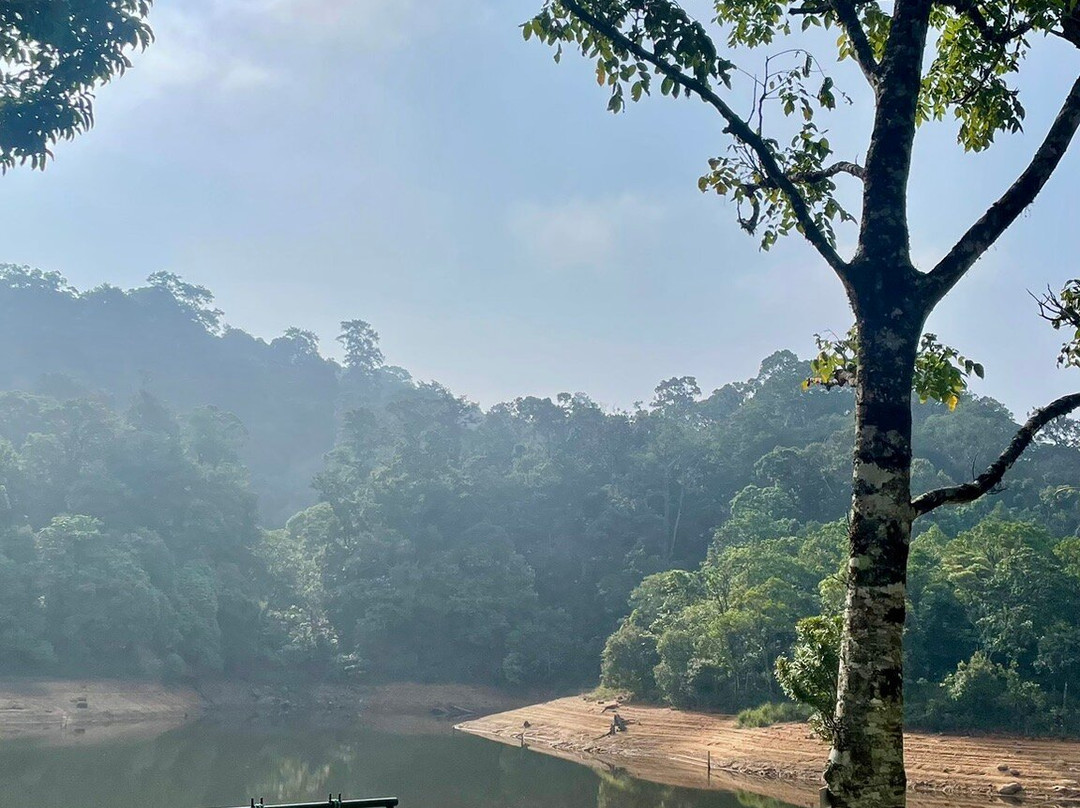 Gavi Forest-帖可迪必去景点
