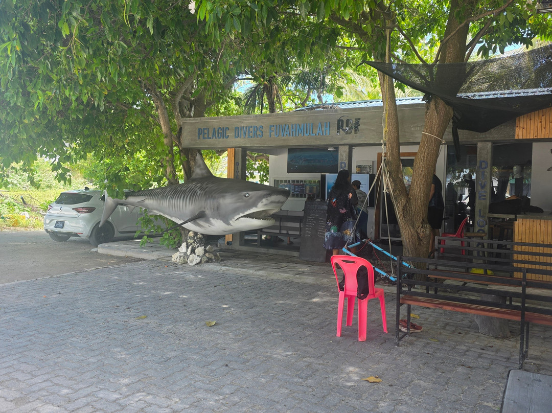 Pelagic Divers Fuvahmulah-Fuvahmulah必去景点