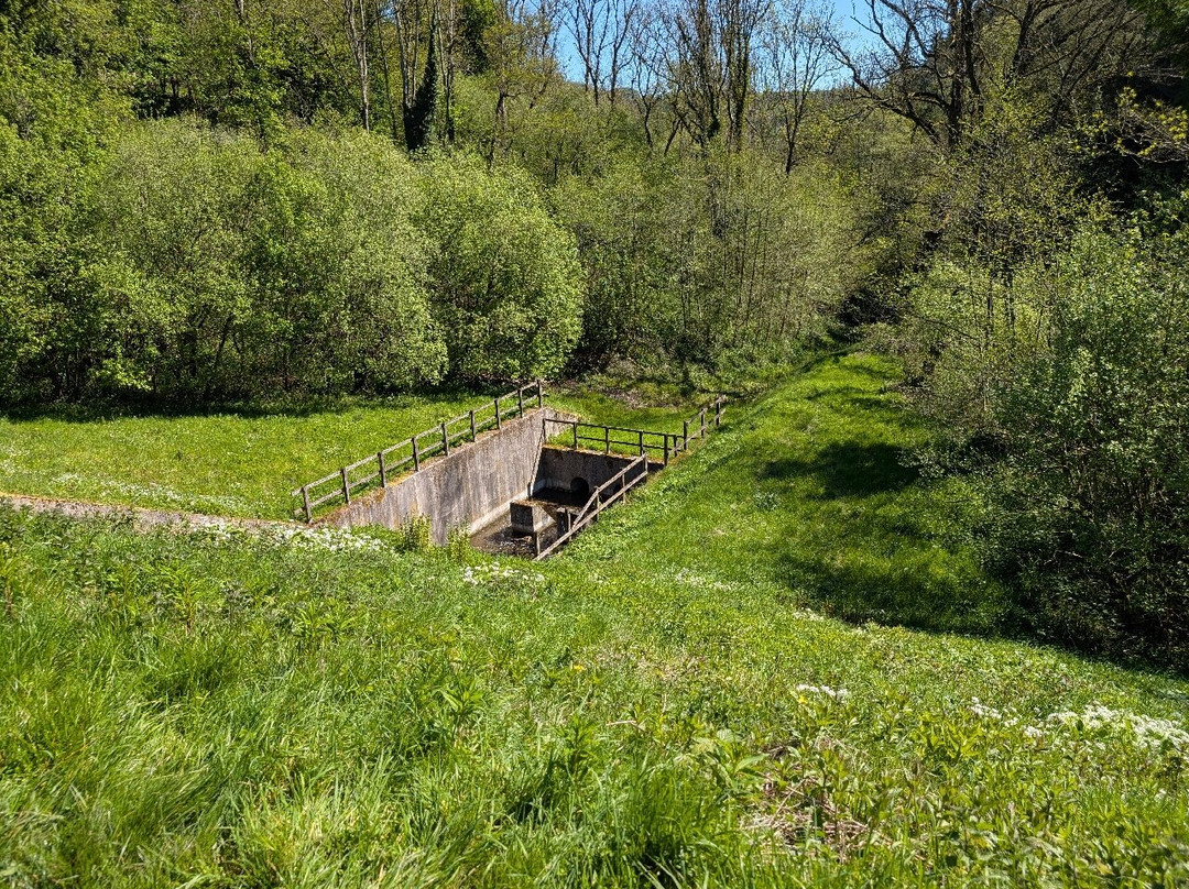 Woodchester Park-斯特劳德必去景点