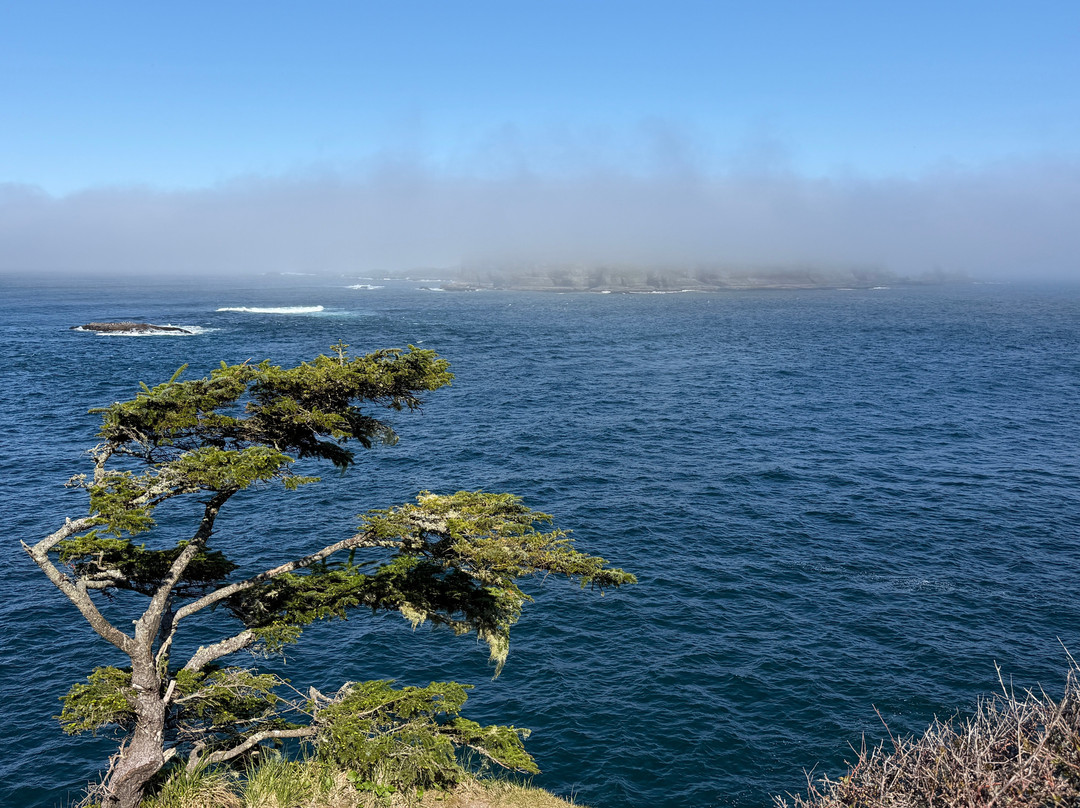 Cape Flattery-Clallam Bay必去景点