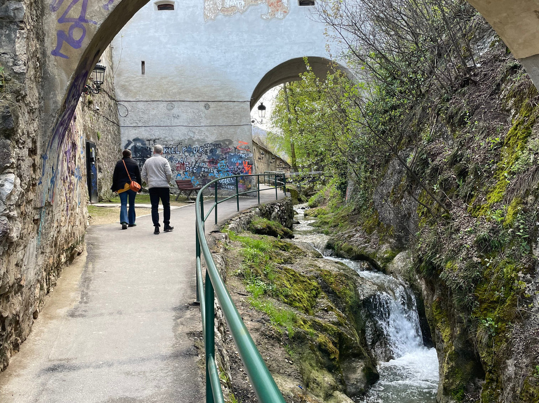 True Romania Tours-阿拉德必去景点