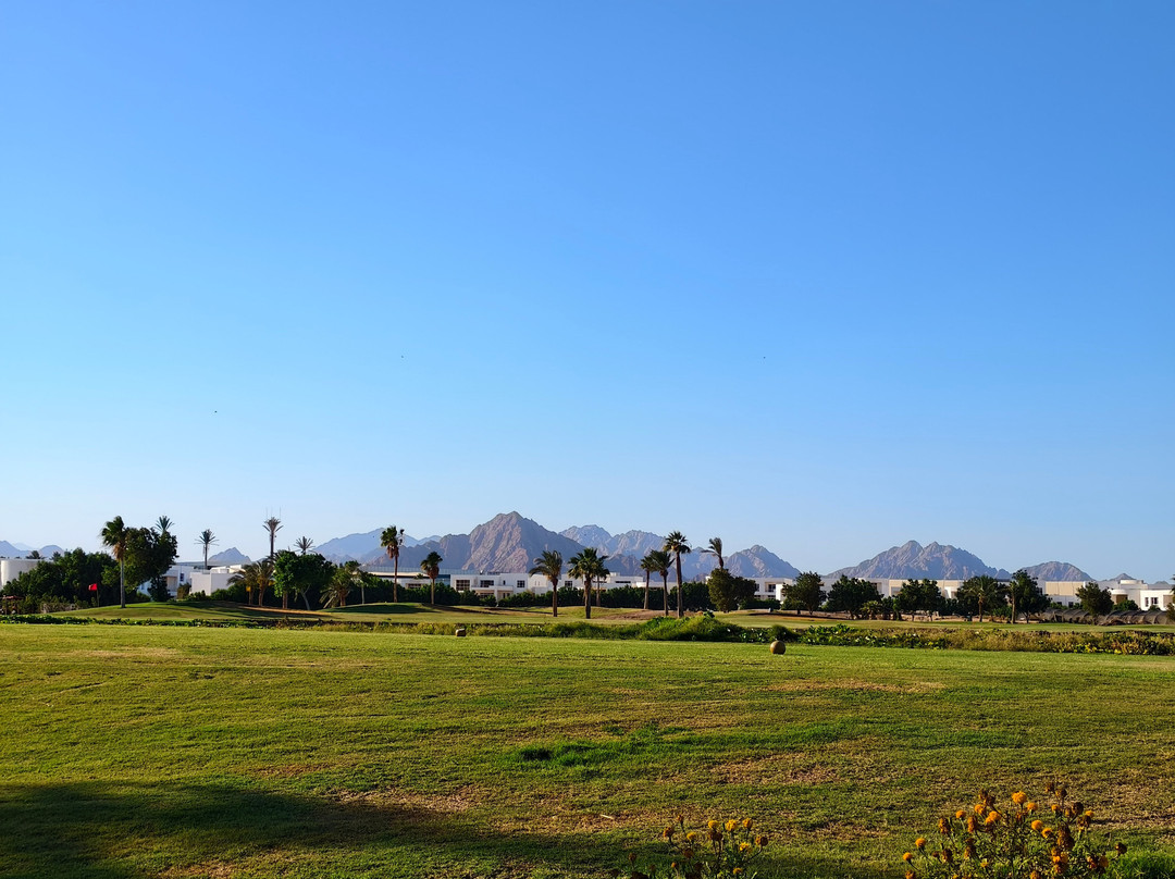 Pickalbatros Golf Course-沙姆沙伊赫必去景点