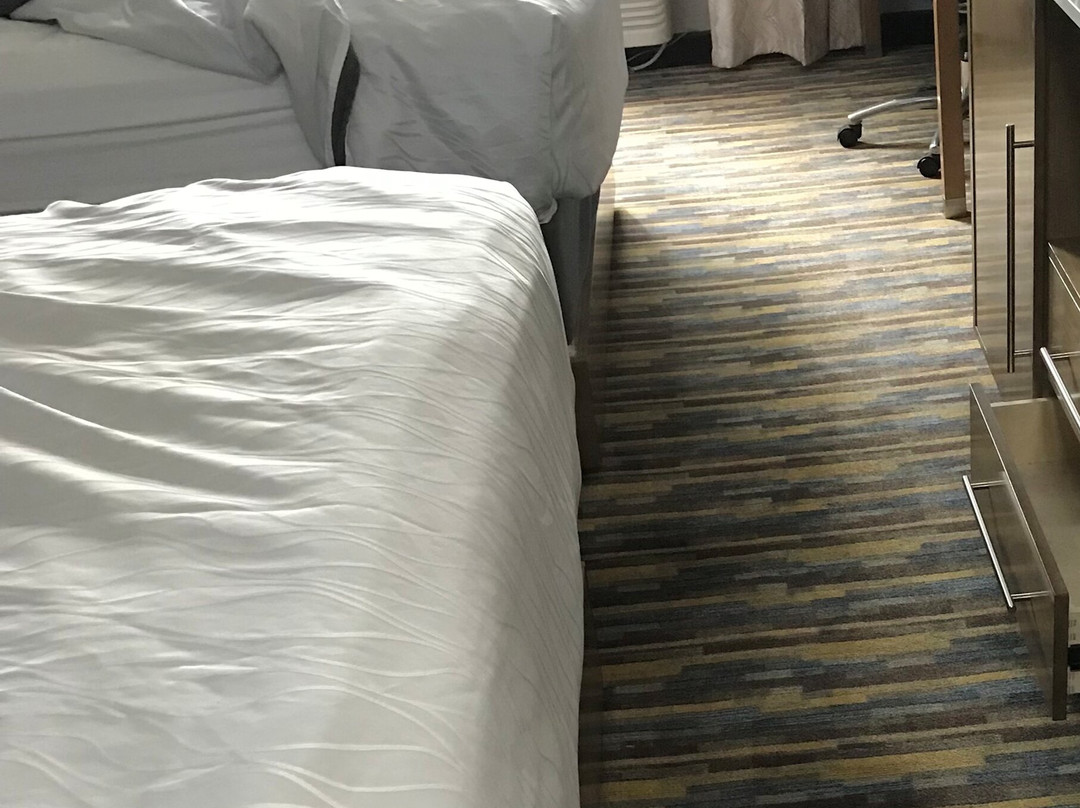 贝斯特韦斯特德威特酒店主图