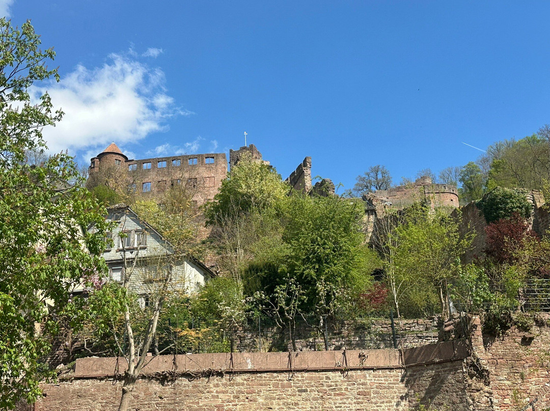 Burg Wertheim-沃特海姆必去景点