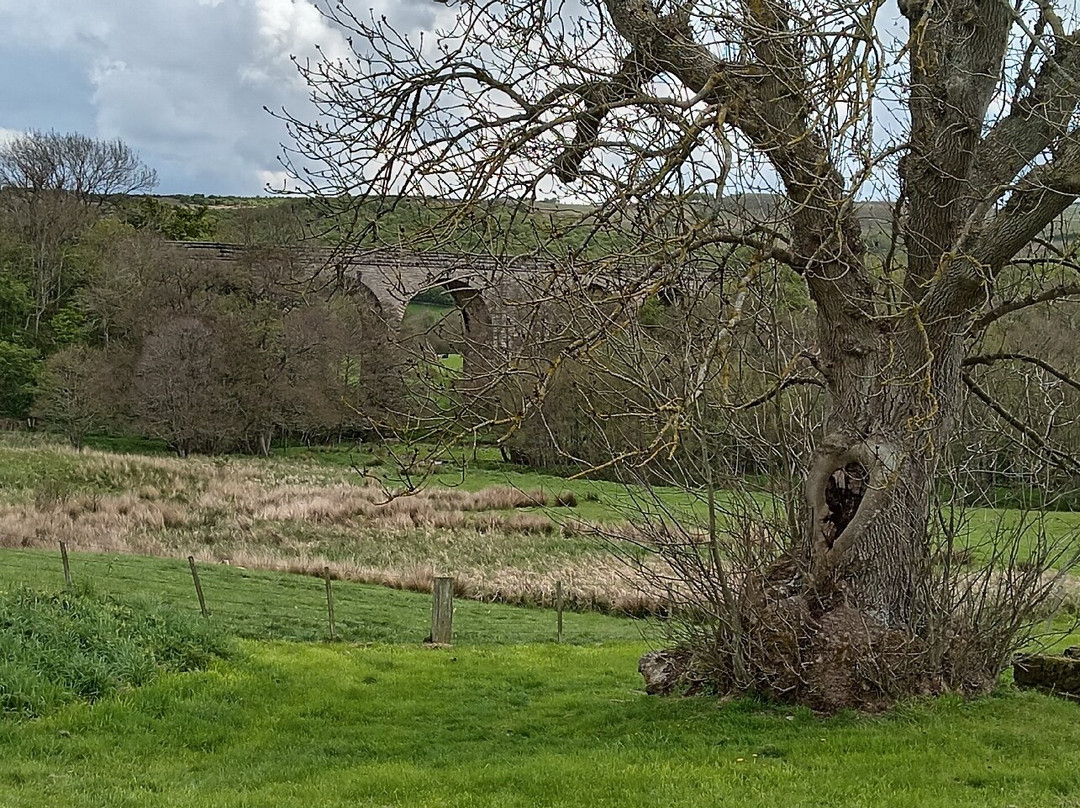 Edlingham Castle and Edlingham Church-阿尼克必去景点