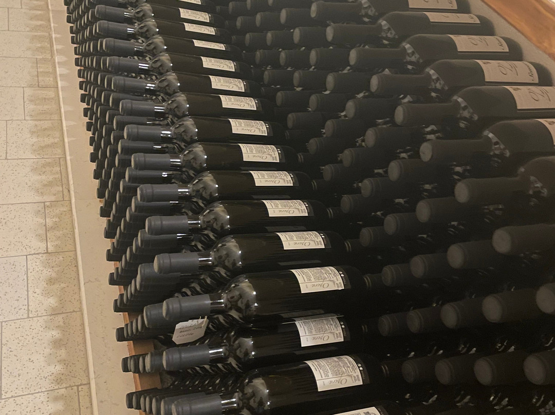 Cantine Semeraro-Casalini di Cisternino必去景点