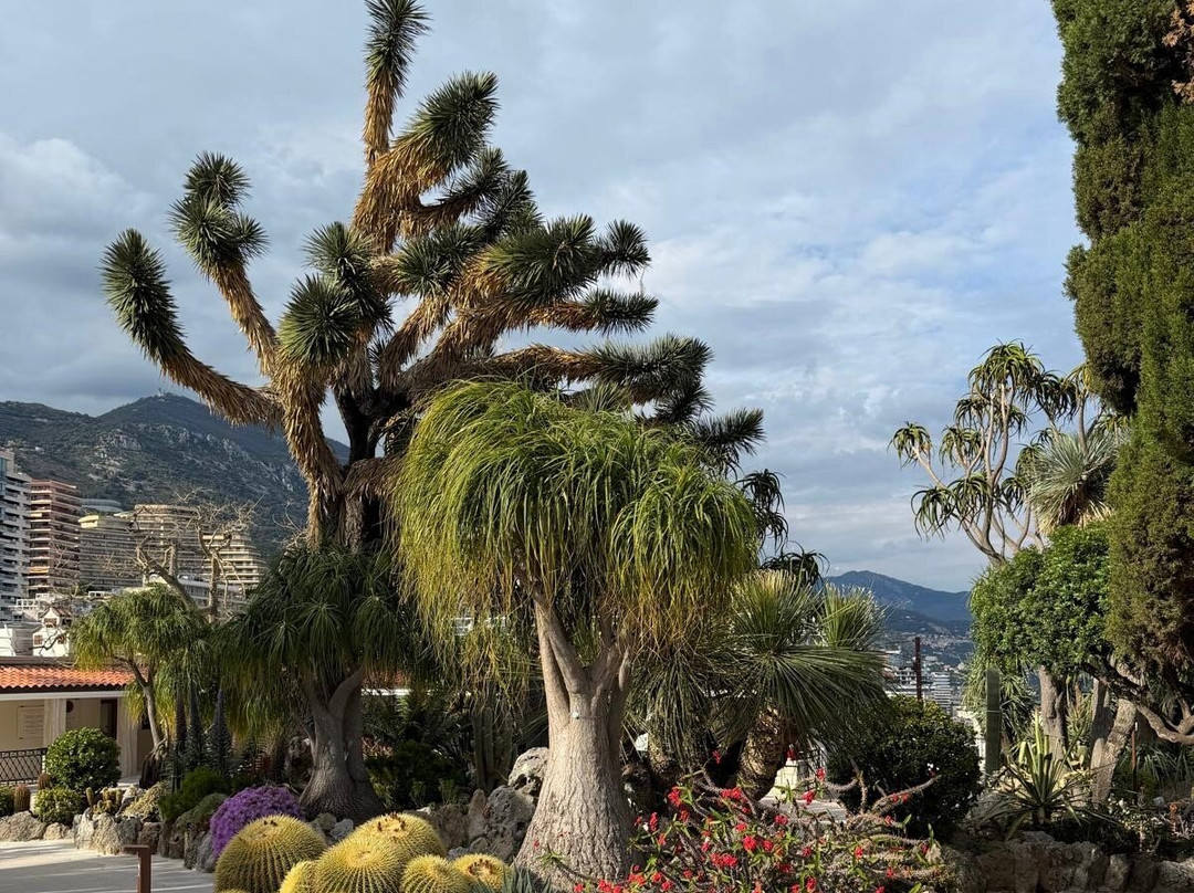 Jardin Exotique de Monaco-摩纳哥城必去景点