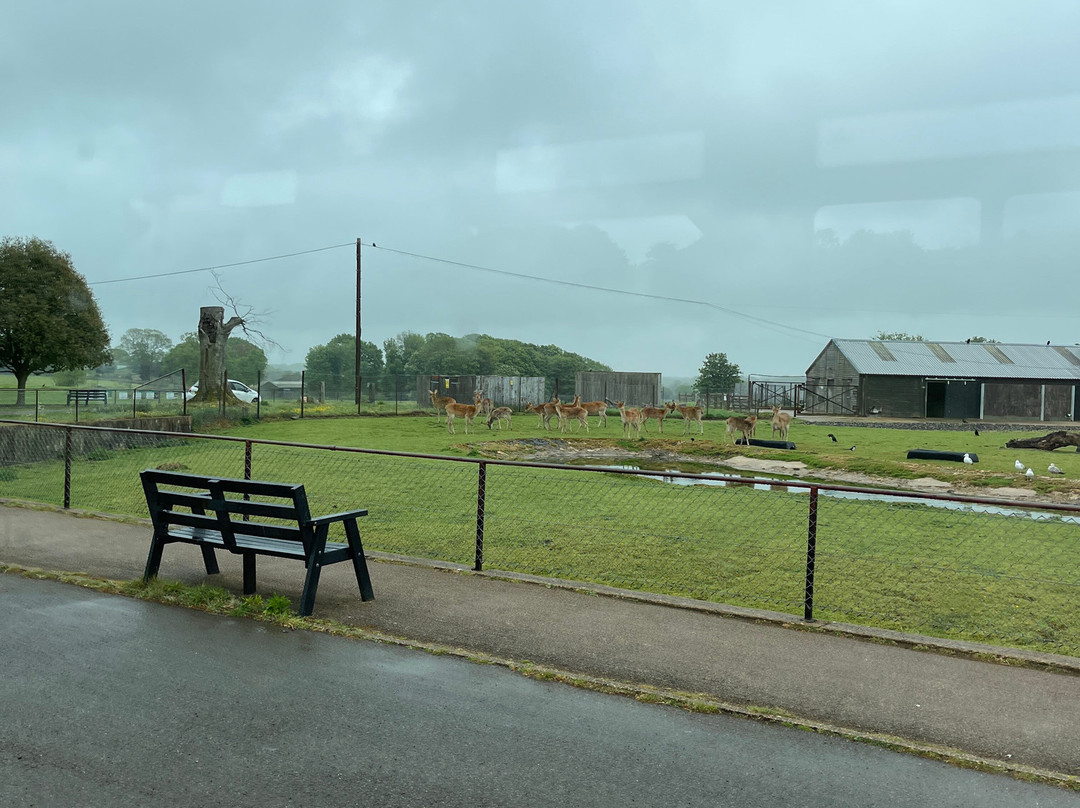 Whipsnade Zoo-邓斯特布尔必去景点