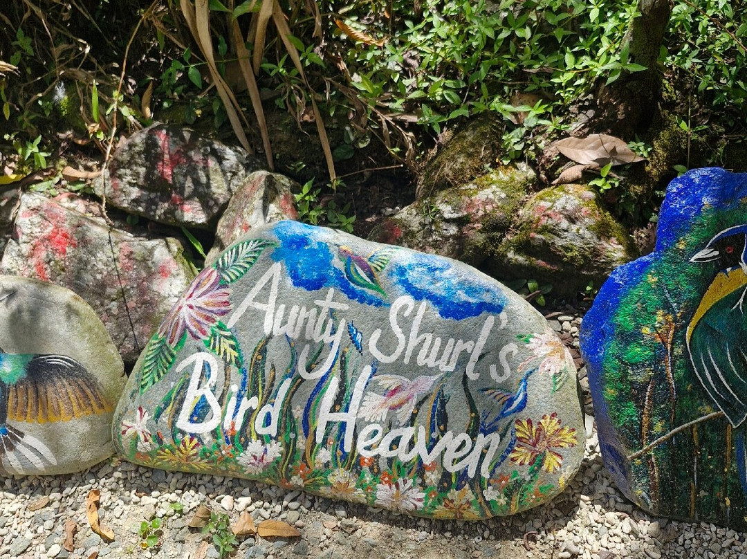 Shurland Nature Park-多巴哥必去景点
