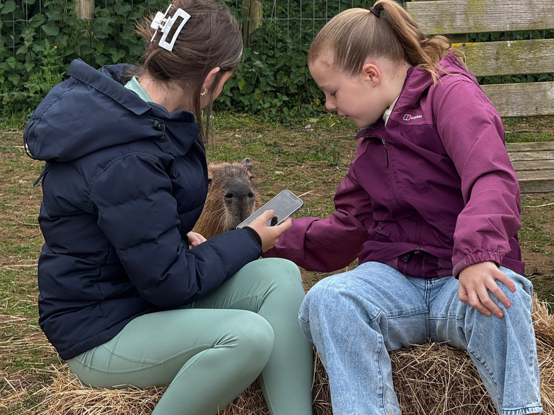 Bridlington Animal Park-布里德灵顿必去景点