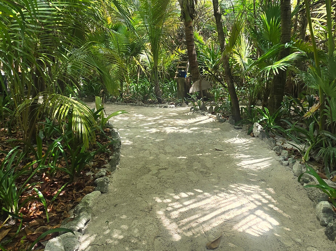 Maya Chan Beach-Mahahual必去景点