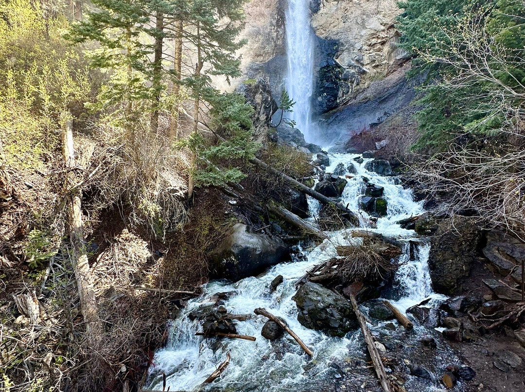 Treasure Falls-帕戈萨斯普林斯必去景点