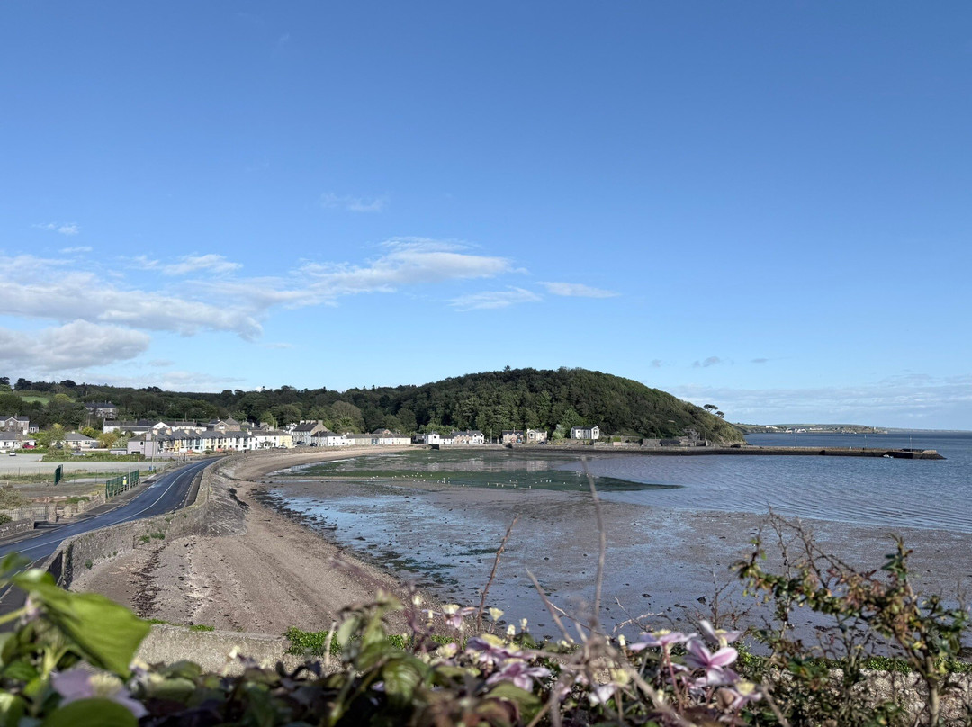 Ballycullane酒店住宿-Marsh Mere Lodge
