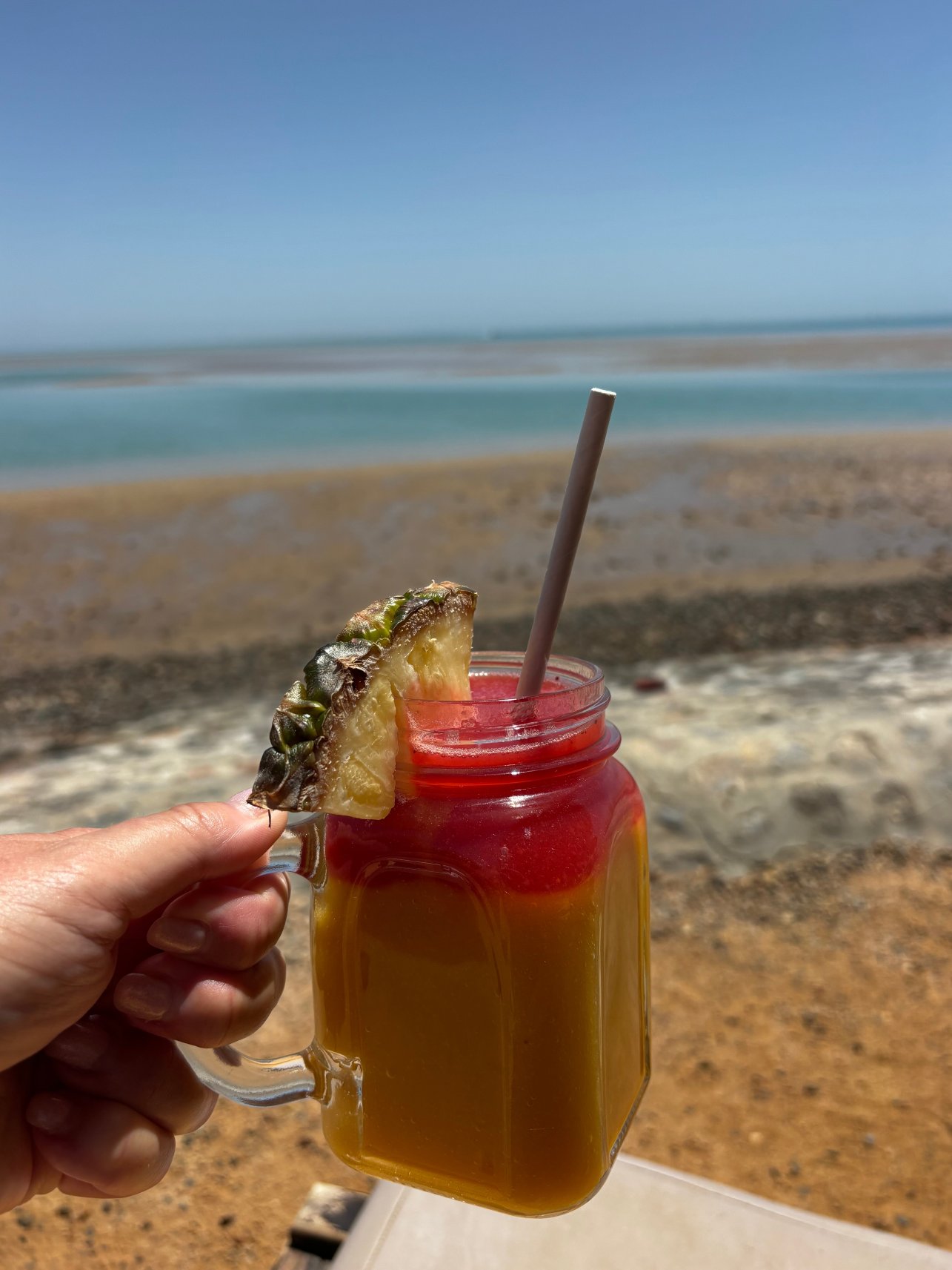 Club Paradisio El Gouna Red Sea-旅行者