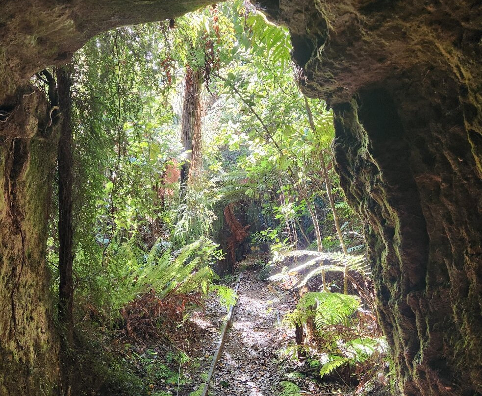 Mitchells Gully Goldmine-Charleston必去景点
