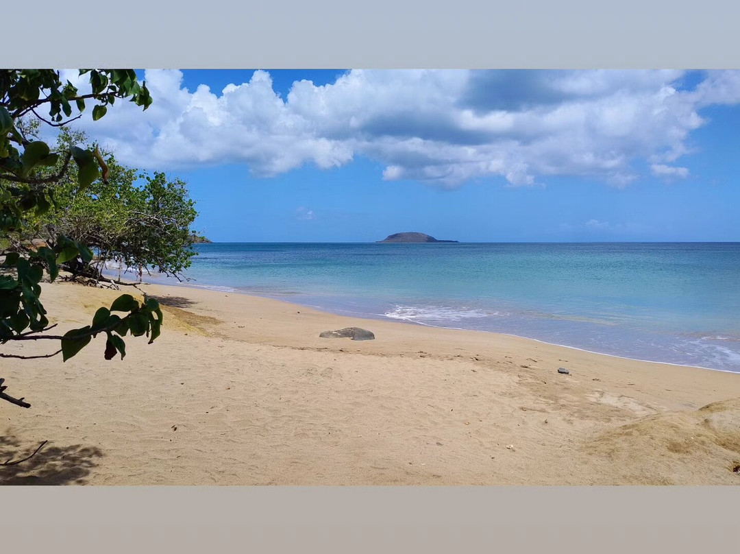 Pointe Allegre-Sainte Rose必去景点
