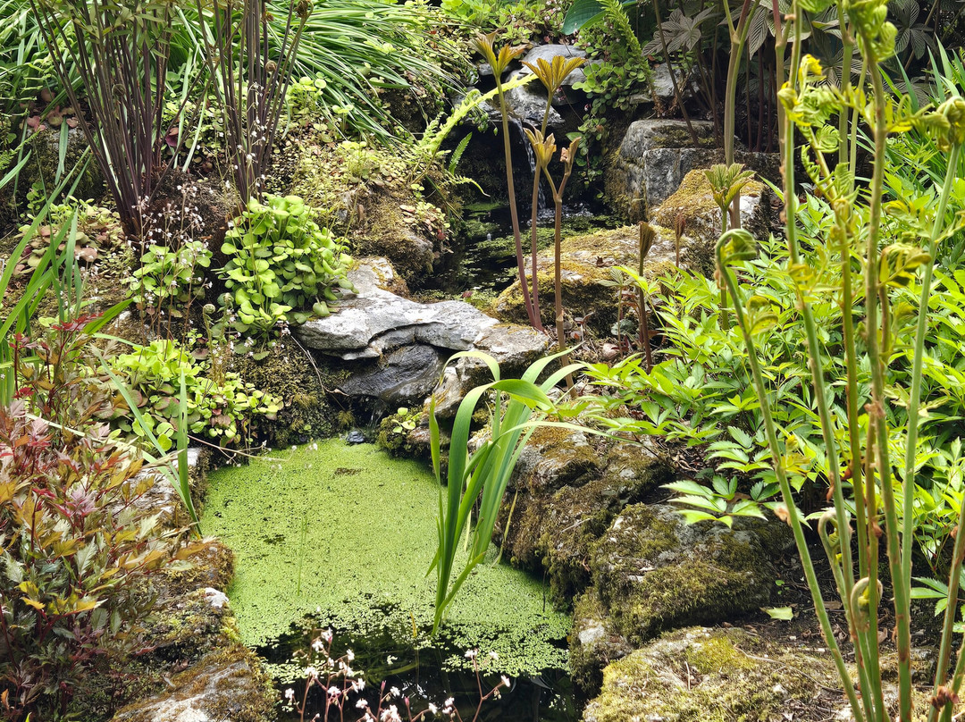 Caher Bridge Garden-Ballyvaughan必去景点