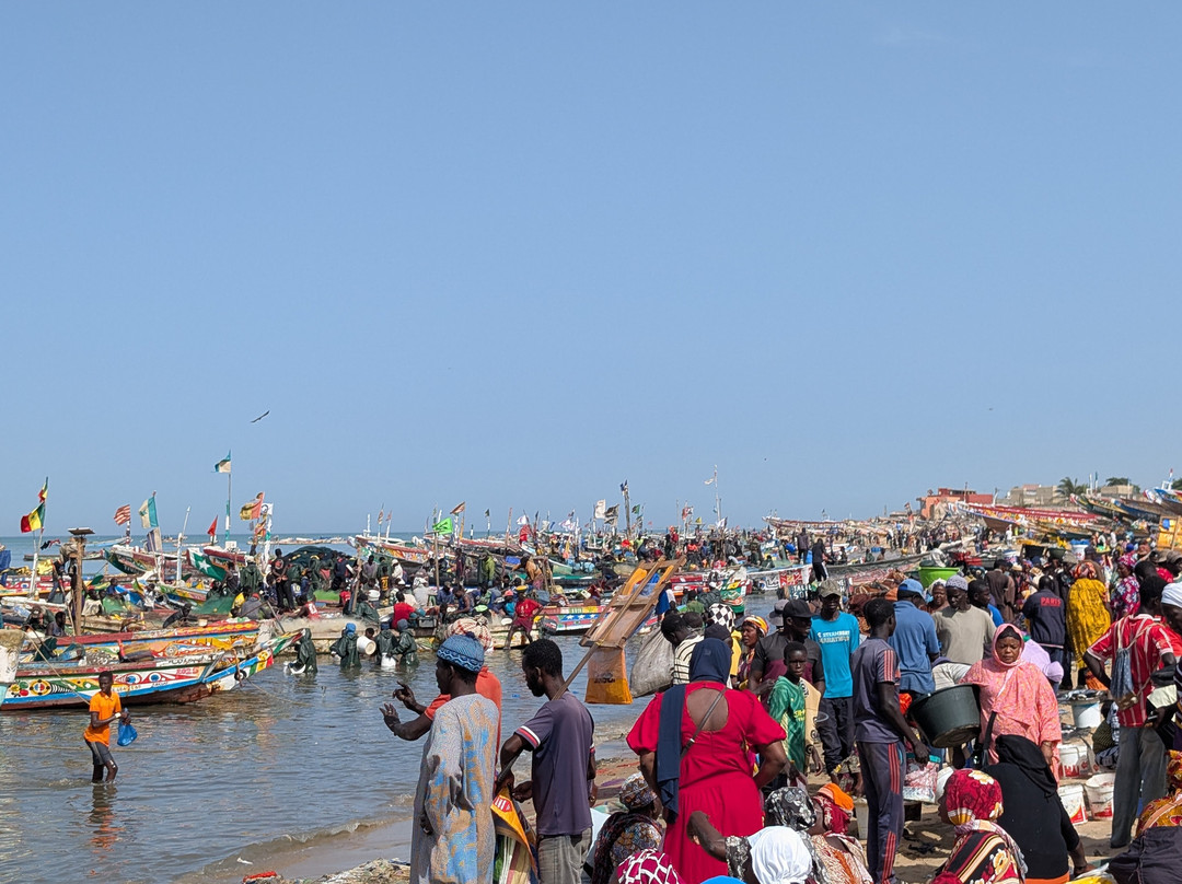 Guide to Sénégal