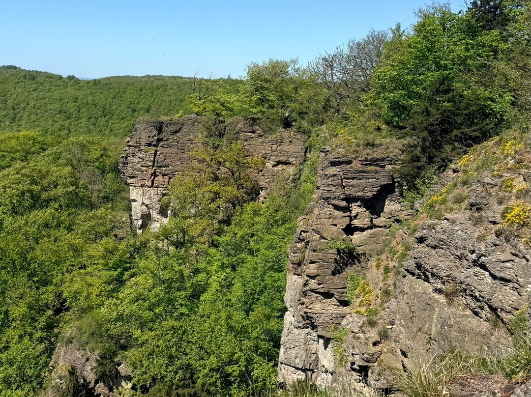 Burg Schaumburg-Rinteln必去景点