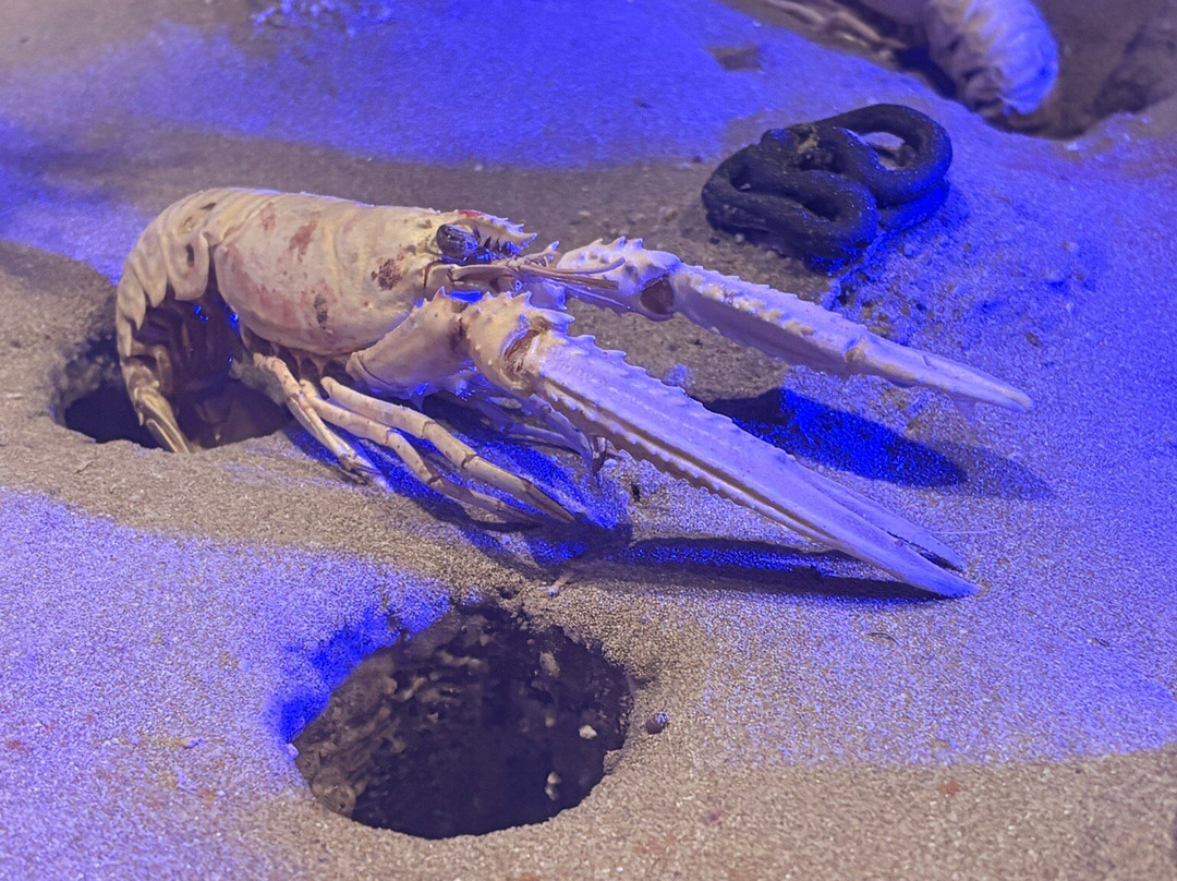 CRETAquarium-Gournes必去景点