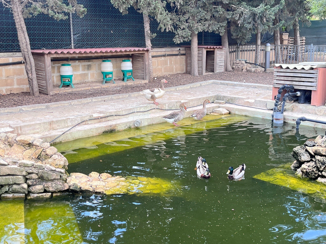 Ta’ Qali National Park-Attard必去景点