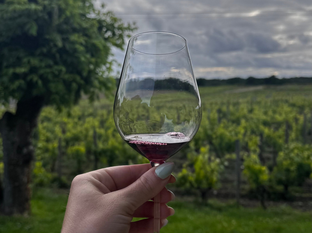 Clos de la Barbanne主图