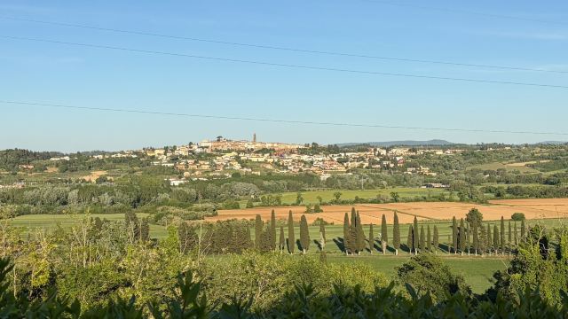 Hilton Grand Vacations Club at Borgo alle Vigne-旅行者