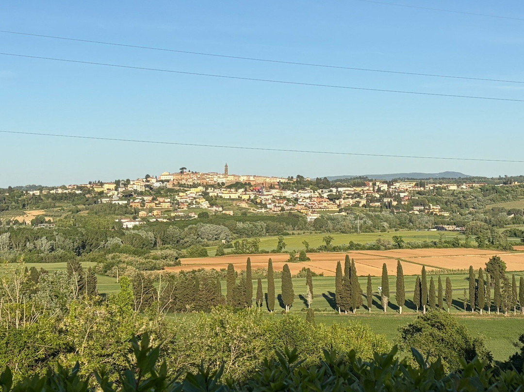 Hilton Grand Vacations Club at Borgo alle Vigne主图