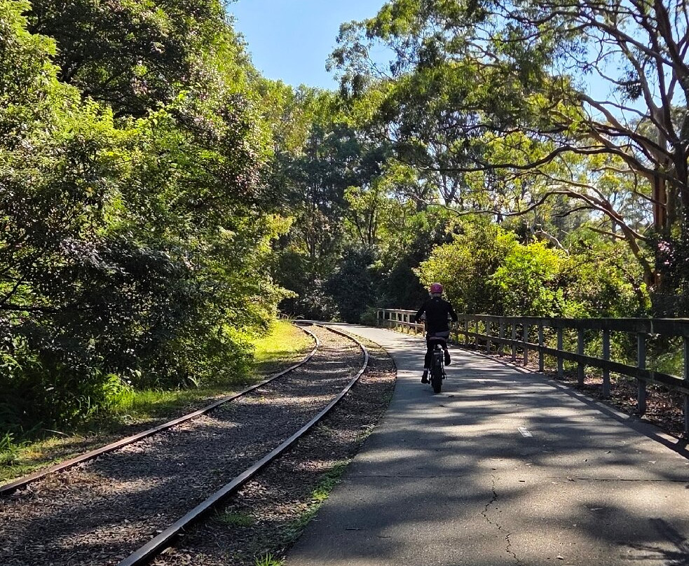 Fernleigh Track-纽卡斯尔必去景点