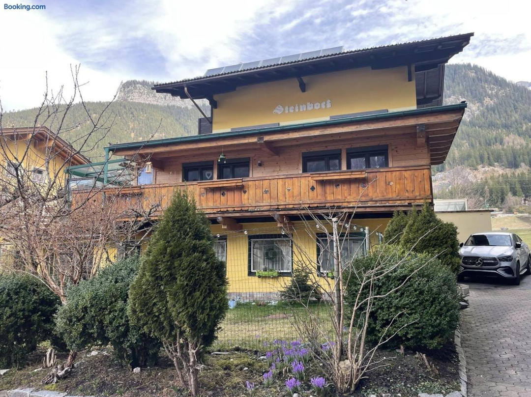 Pension Steinbock