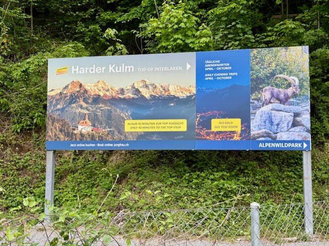 Alpine Wildlife Park Interlaken-因特拉肯必去景点
