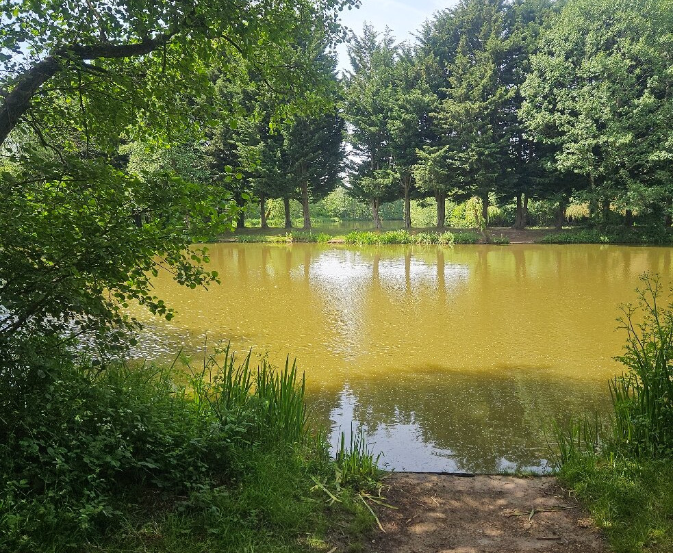 Docklow Pools-Docklow必去景点
