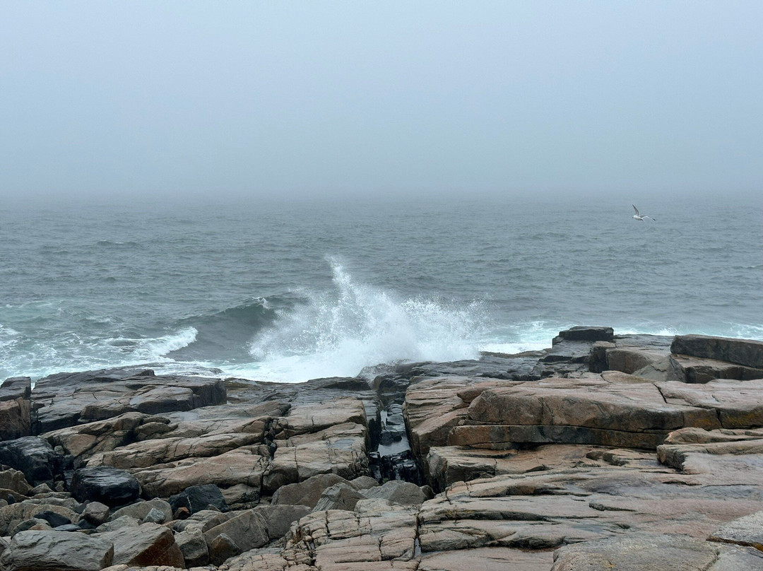 Schoodic Peninsula-巴港必去景点