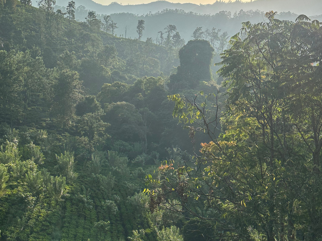 Good Holiday Tours-Kandy District必去景点