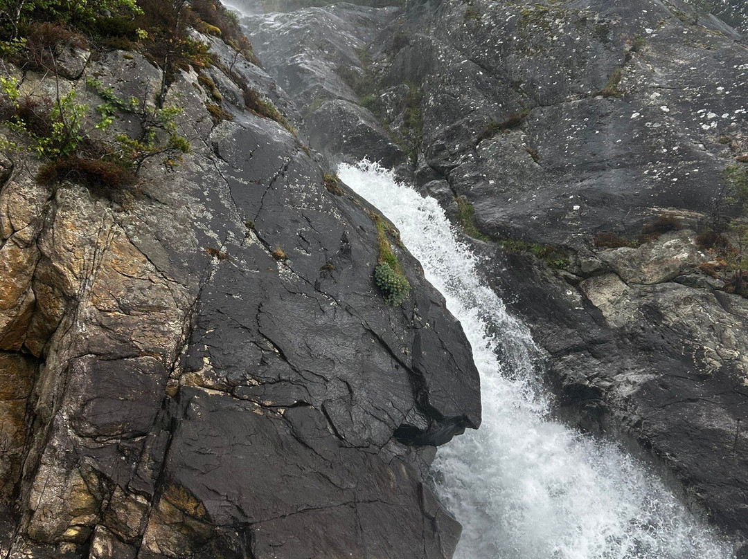 Hardanger Fjordsafari-Eidfjord必去景点