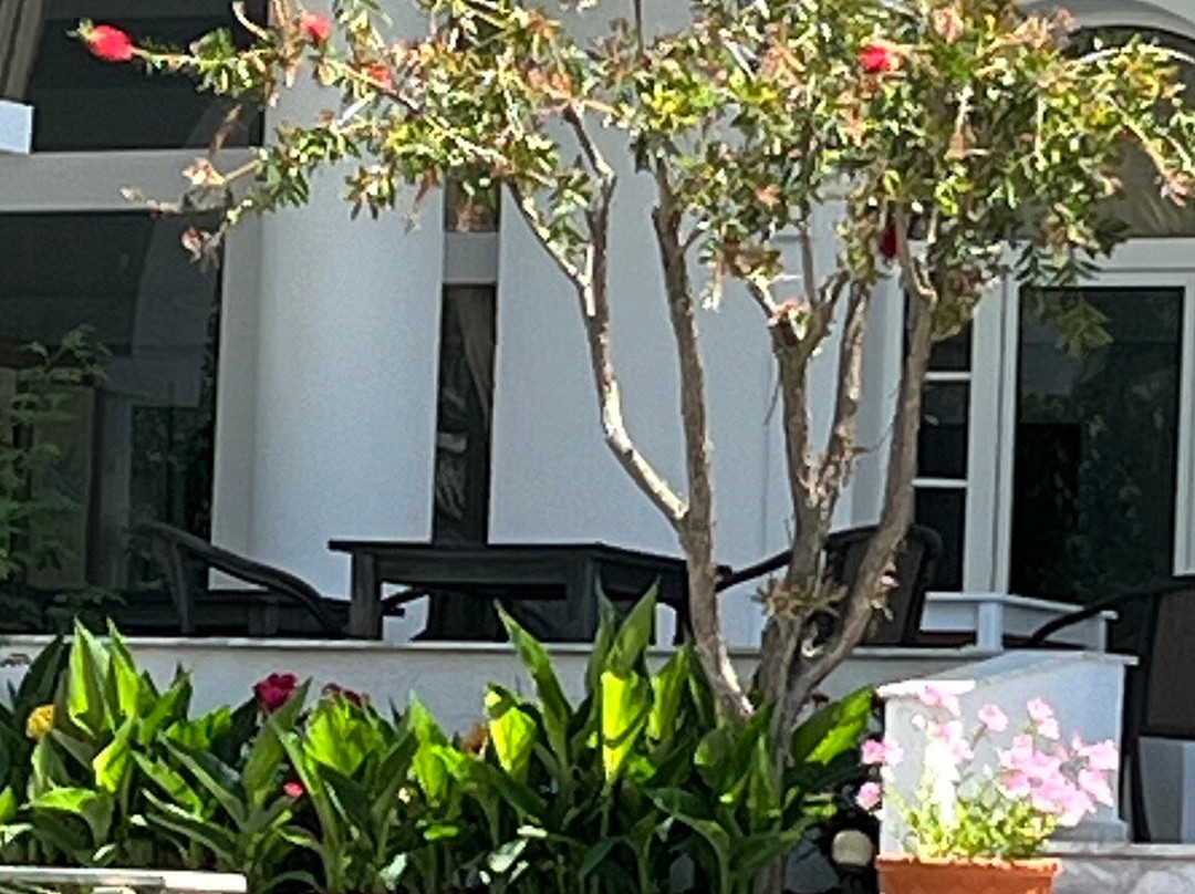 Arco Beach Hotel主图