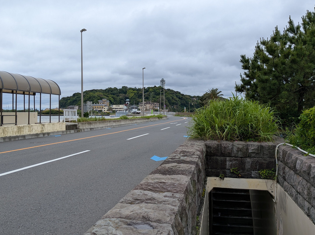 江之岛-藤泽市必去景点